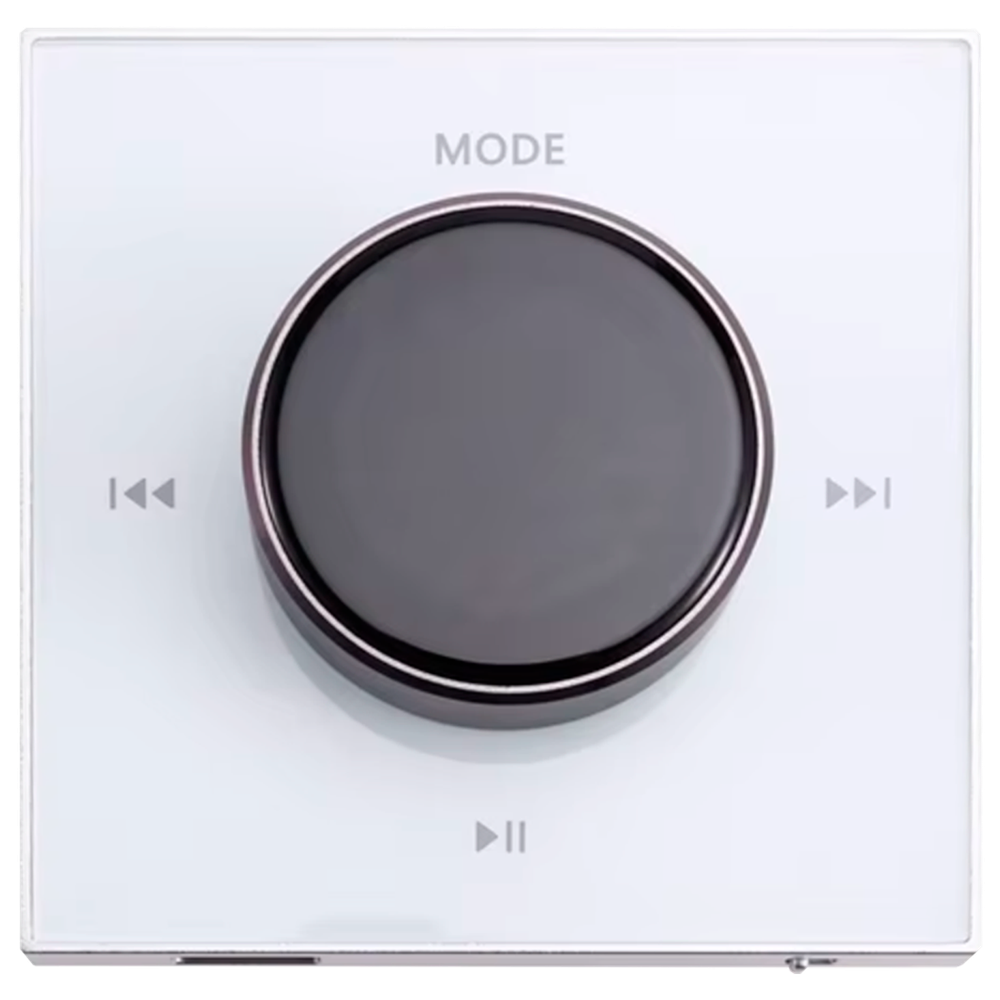 Сенсорная панель управления Steamwater NOISE white (Белый c дисплеем, в комплекте с ПДУ, управление на 4 акустических динамика)