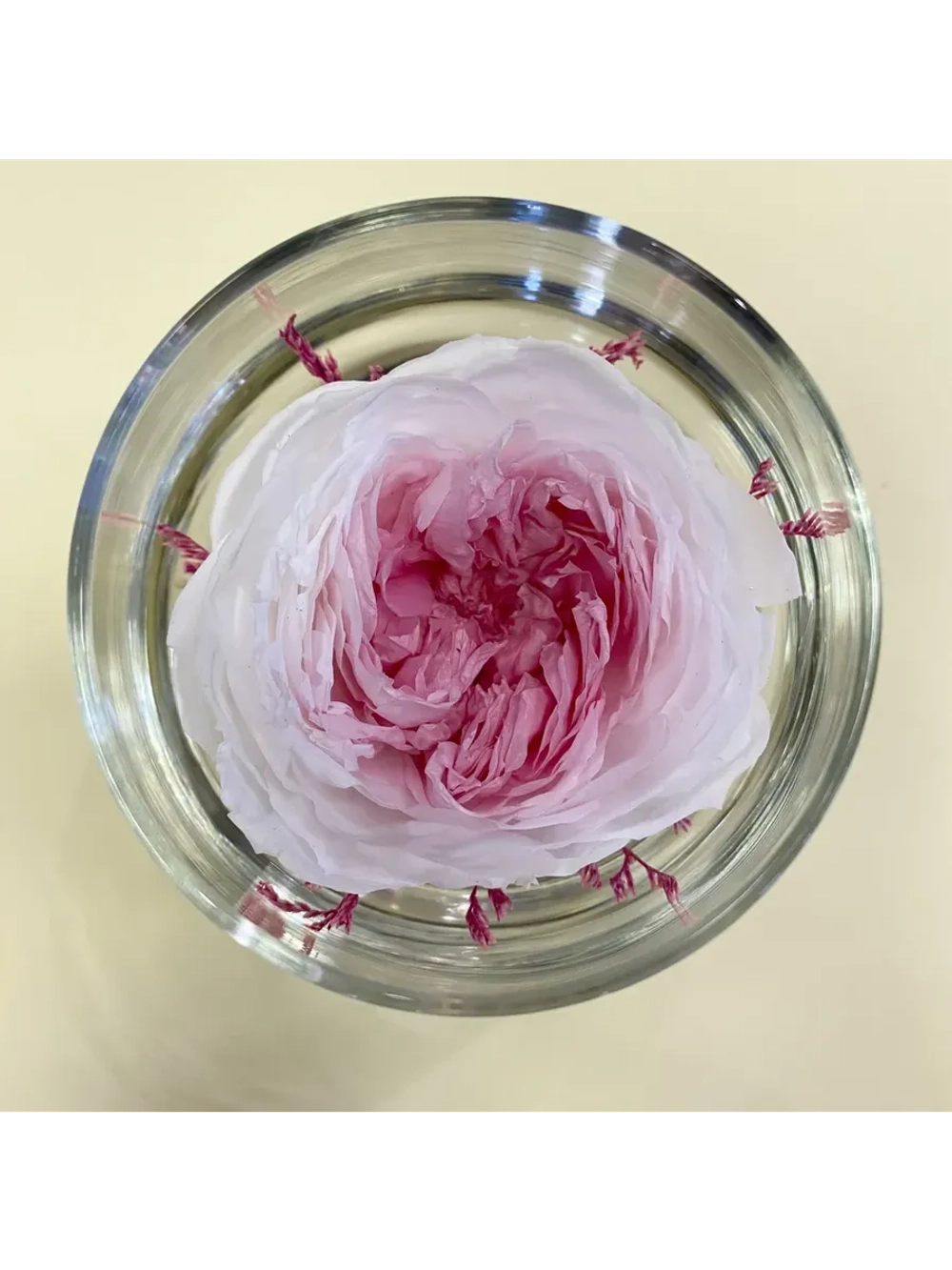 натуральный пион в стекле, вакуум*