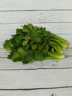Кинза свежая