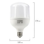 Лампа светодиодная SONNEN, 30 (250) Вт, цоколь Е27, цилиндр, холодный белый, 30000 ч, LED Т100-30W-6500-E27, 454924