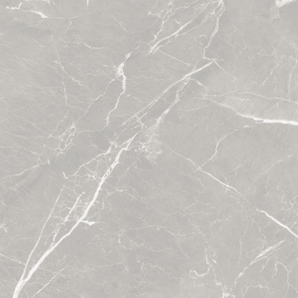 Керамогранит CarolinaGT серый 60x60 10GCRGCL0064