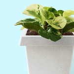 Кашпо "КВАДРО" 1,5л цвет белый гранит