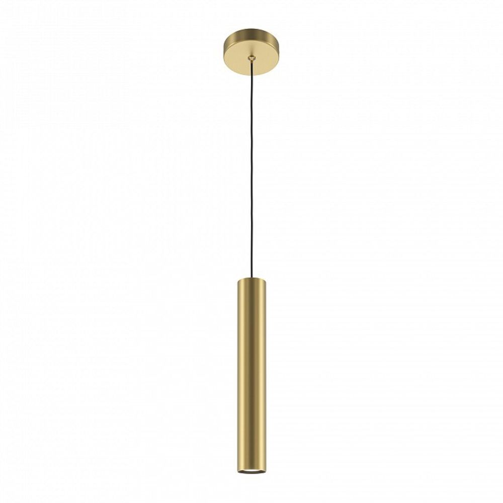 Подвесной светильник Maytoni Pro Focus MOD161PL-01G1