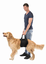 Транспортировочный бандаж для собак, XL: 85-98 см/ 45-55 кг, Trixie