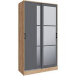 Стиль-2 (Тэкс) Шкаф-купе 1200мм