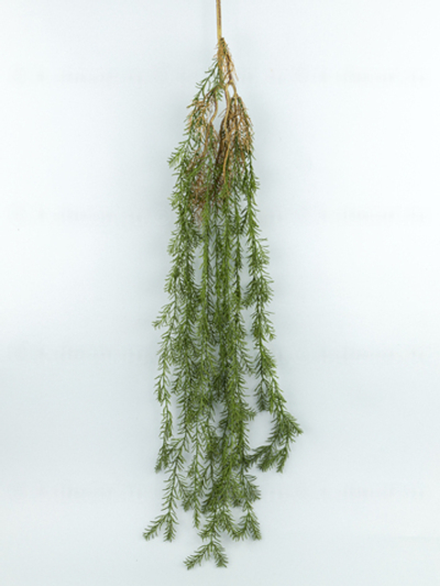 Ампельный аспарагус Теос