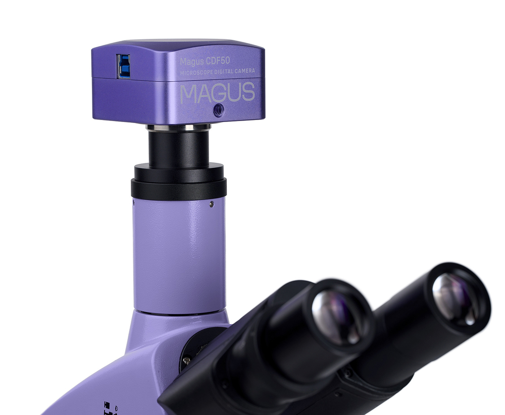 Микроскоп биологический цифровой MAGUS Bio D250TL