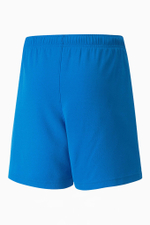 Шорты Puma teamRISE Junior