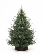 Ель искусственная «Заповедная» (Литая хвоя) 240 см / 2,4 м
