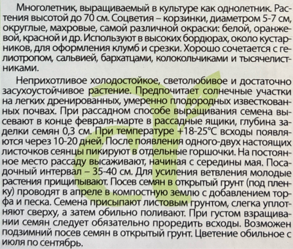 Хризантема килеватая Пламя 0,1 г СМЦ-334