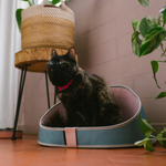 Лежанка KOMBUCHA Zee.Cat