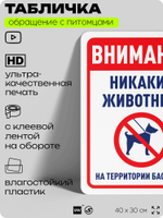 Табличка "Внимание, никаких животных на территории бассейна" на дверь и забор, для двора, дома, подъезда, 40х30 см, Silver Plane x Айдентика Технолоджи