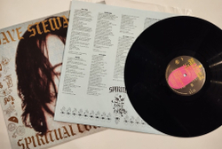 Винтажная виниловая пластинка LP Dave Stewart And The Spiritual Cowboys (Germany 1990)