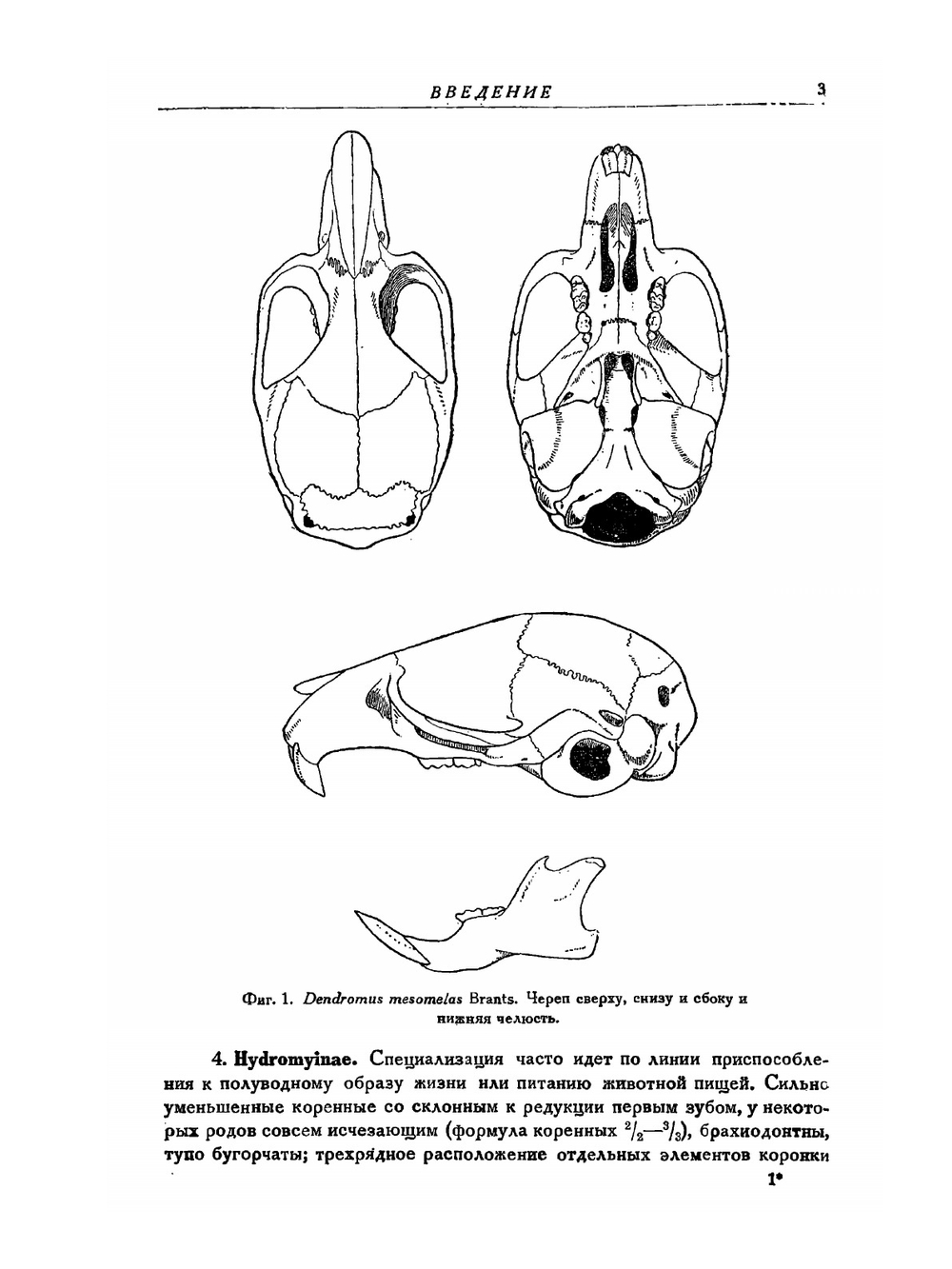 Фауна СССР. Млекопитающие. Том III. Выпуск 5. Сем. Muridae - Мыши. | Аргиропуло А.И.