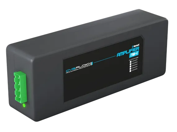 CVGAUDIO NB-1 стереофонический двухканальный цифровой усилитель D-класса