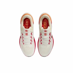 Женские кроссовки Nike Air Zoom Pegasus 41 'Year of the Snake' HV5985-101