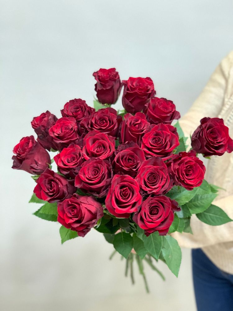 Букет 21 красная роза Эквадор 50см в ленте