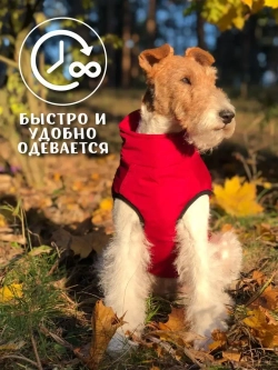 Жилет для собак мелких средних крупных пород