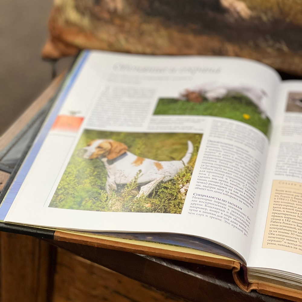 Собака. Подарочное издание, 256 страниц