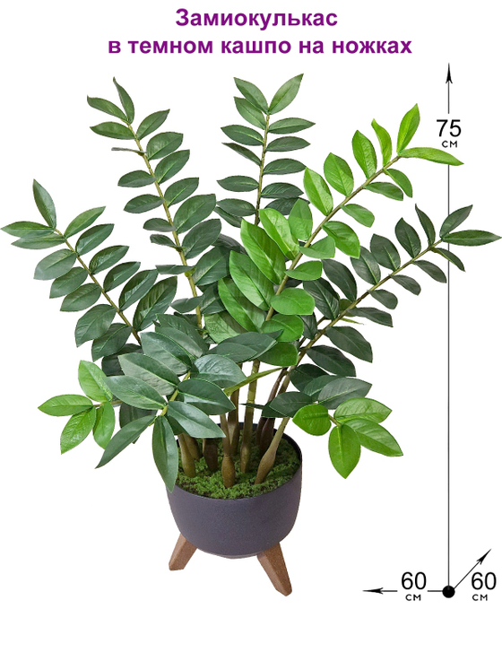 Замиокулькас искусственный 75см в темном кашпо на ножках
