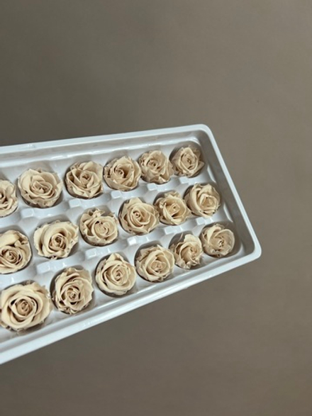 Роза классическая мокко d=2-3 см (упак 21 шт)