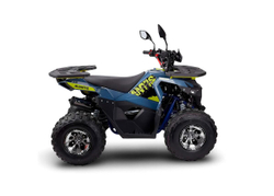 Квадроцикл AVANTIS Ray 8 Premium