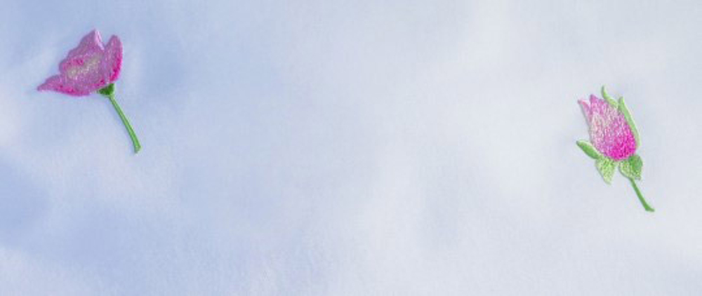 Наволочка 40х60 Christian Fischbacher Luxury Nights Rose 716 Швейцария детали