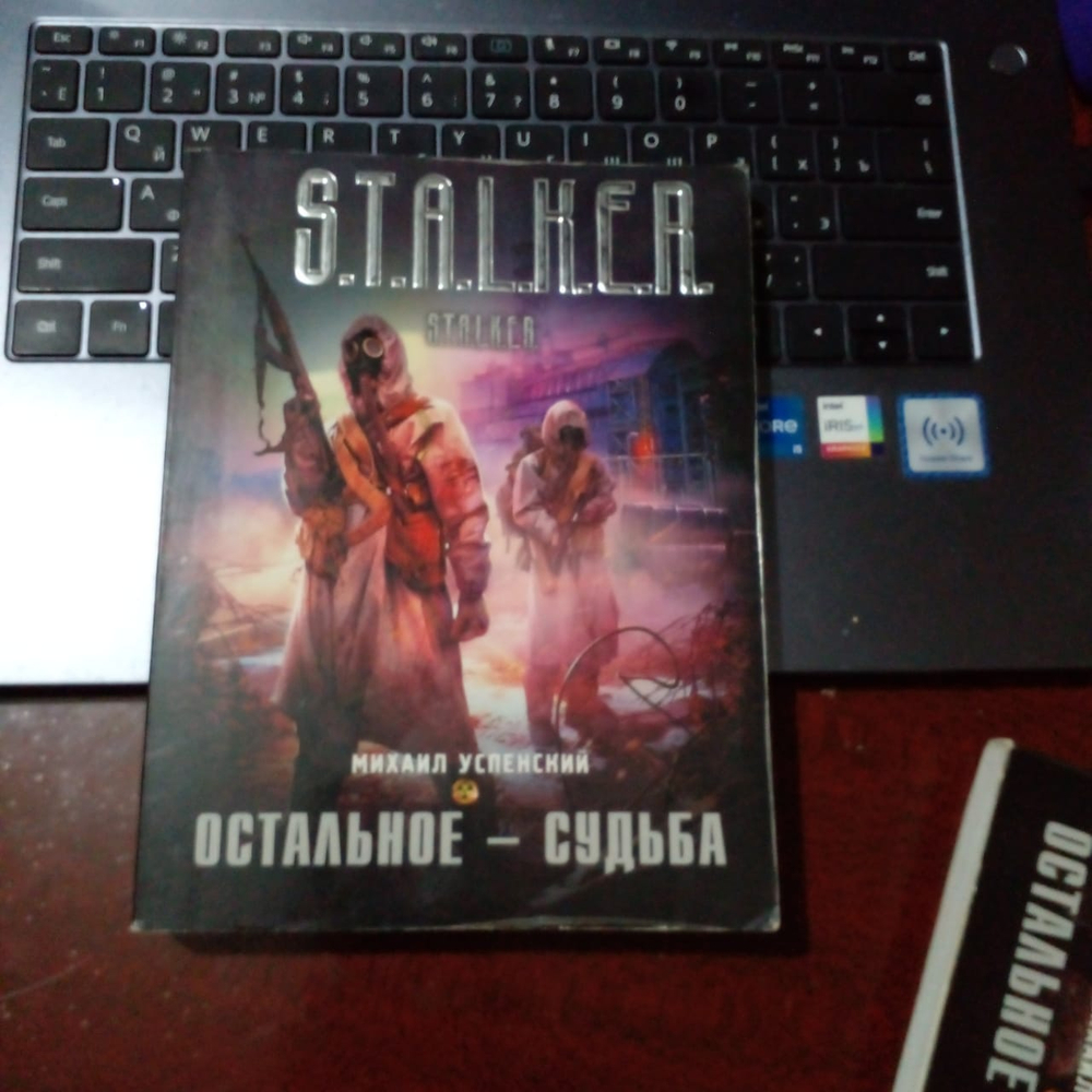 Остальное-судьба. S.T.A.L.K.E.R. Товар уцененный
