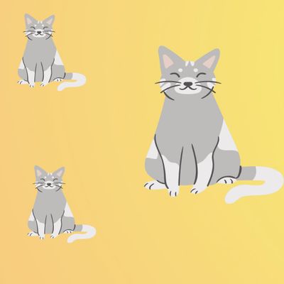 Irresistible funny lovely cat for good health