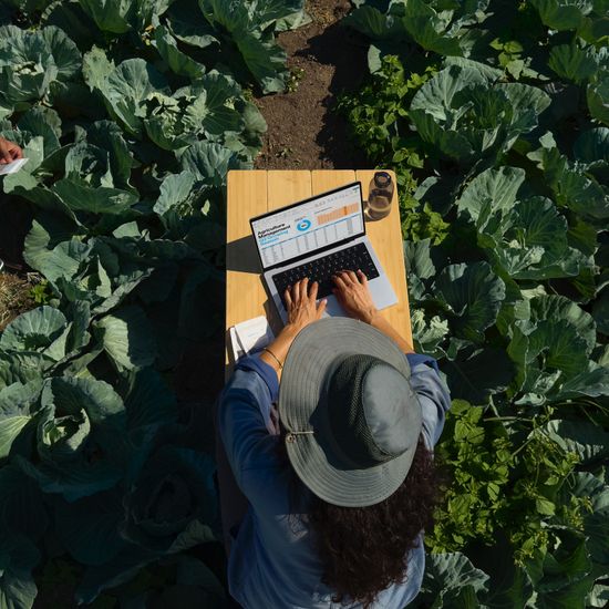 Apple MacBook Pro 14" (M4 Max 14C CPU, 32C GPU, 2024) 36 ГБ, 1 ТБ SSD, серебристый