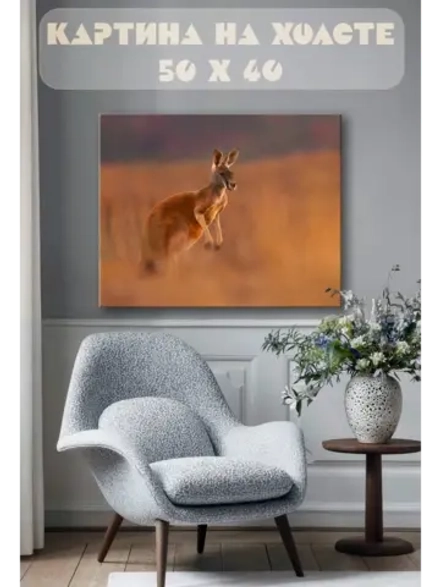 Картина на стену 40 X 50 Кенгуру