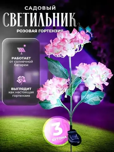 Гортензия на солнечной батареи