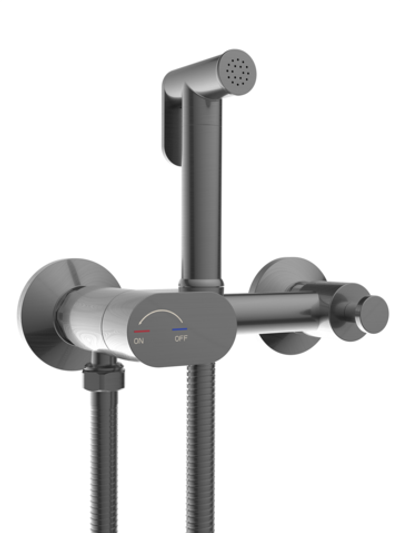 Гигиенический душ WeltWasser  HIGI R02 GG 10000013662 латунь  Брашированная оружейная сталь