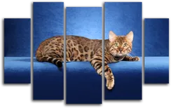 Модульная картина "Бенгальская кошка"