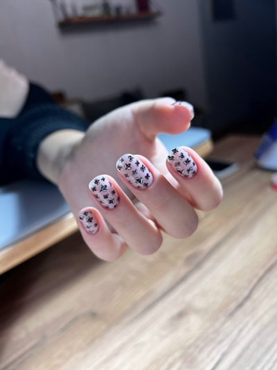Swanky Stamping Пластина для стемпинга 073
