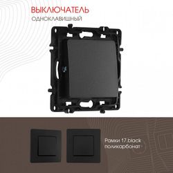 Выключатель одноклавишный без рамки Arte Milano 217 217.30-1.black