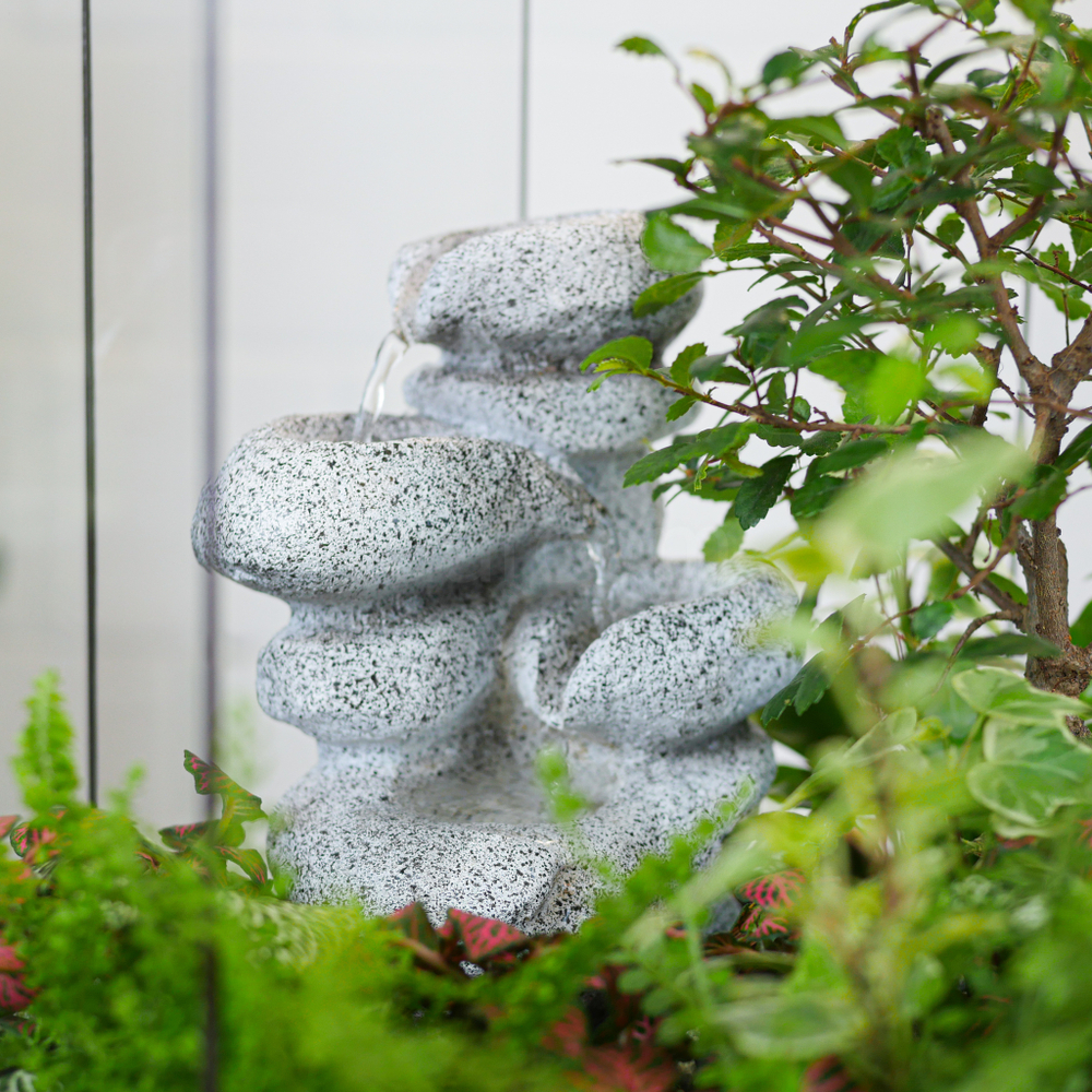 Готовый флорариум Ботанический сад с бонсай XL с водопадом