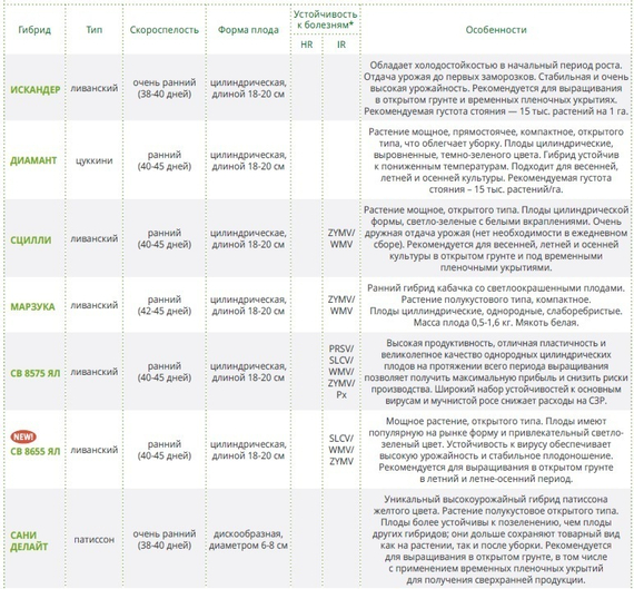 ИСКАНДЕР F1 семена кабачка Seminis купить – фото 7