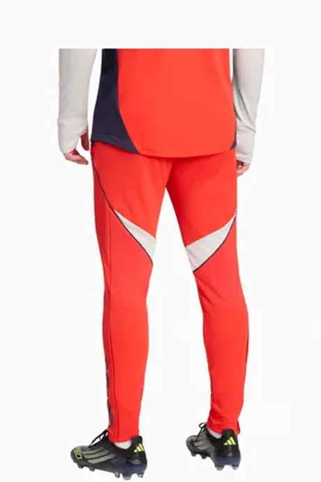 Штаны adidas FC Bayern 25/26 Training Competition - красный