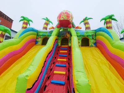 Коммерческий надувной батут "Хамелеон и динозавры" 12*6*6 м