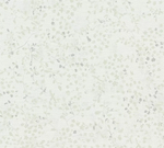 39723-3 Винил на флизе 1.06х10,05 (1*6) (Pacifica)
