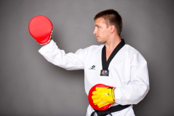 Лапа тренерская ProfSport для Тхэквондо