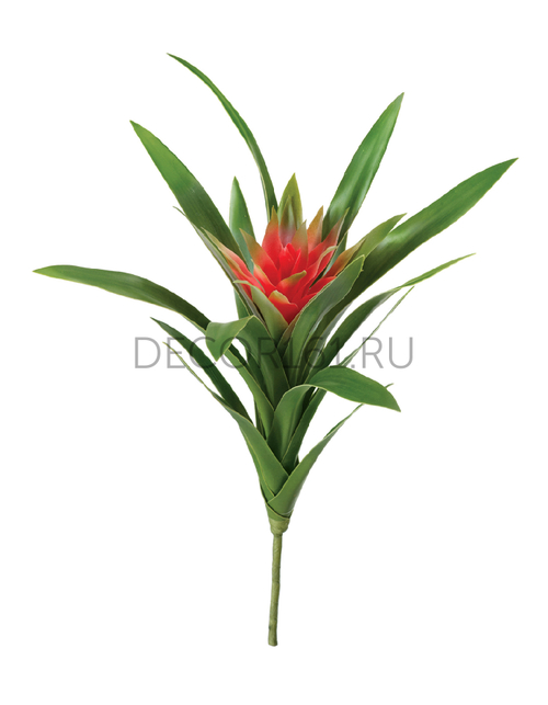 Гусмания Элегант красная в-30/22 см, д-20 см (Sensitive Botanic) 12/60 20.0615190RD