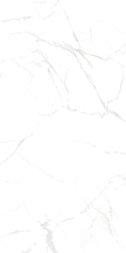 NT Ceramic Marmo Callacata Carving 60x120