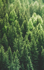 Dr. Vranjes Terra спрей ароматизатор воздуха (аромат Земля)