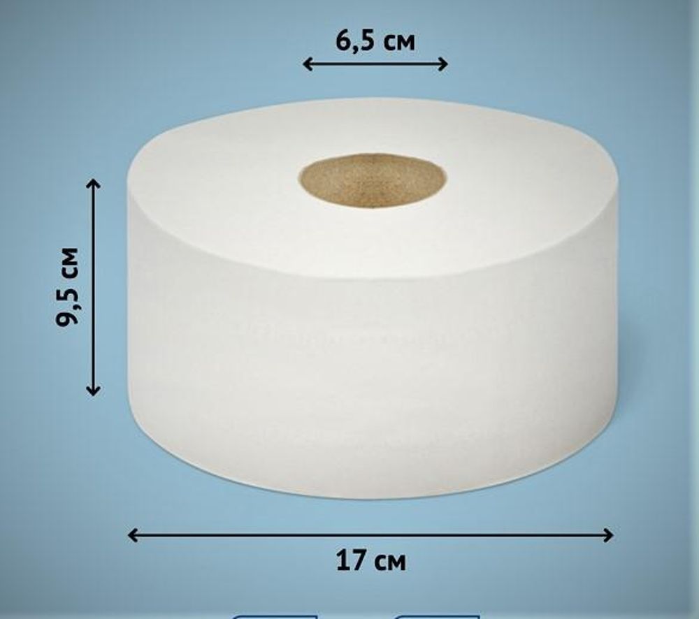 Бумага туалетная двухслойная премиум белая NOFER OC-2-160 (Блок: 12 рул. по 160м)