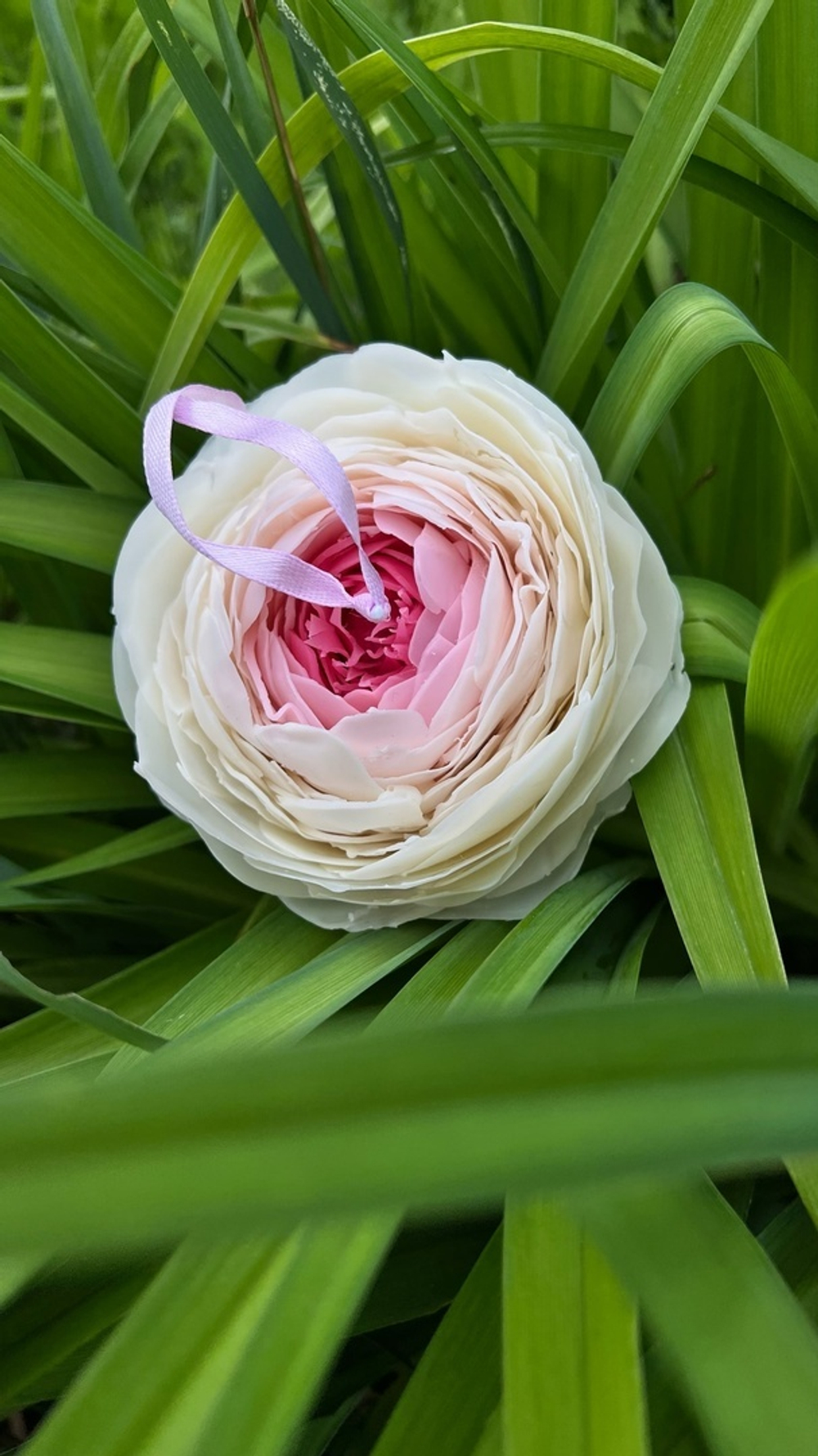 Свеча Пион макси