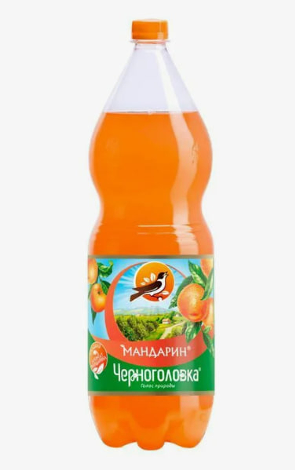 Черноголовка 2/6 МАНДАРИН ПЭТ