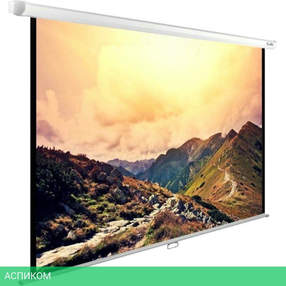 Проекционный экран Cactus WallExpert (CS-PSWE-240x180-WT)