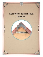 Металлическая фоторамка 70х90 см